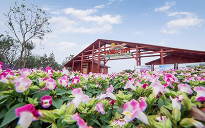 ok138太阳集团?(中国)有限公司官网