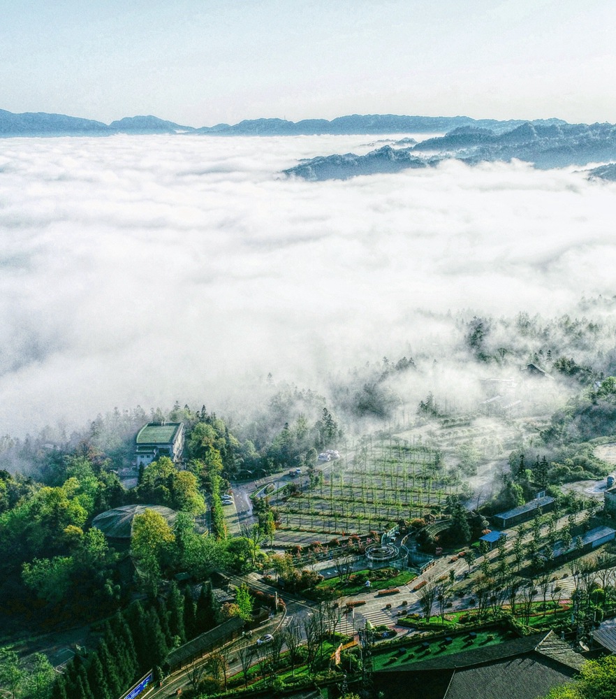 ok138太阳集团?(中国)有限公司官网